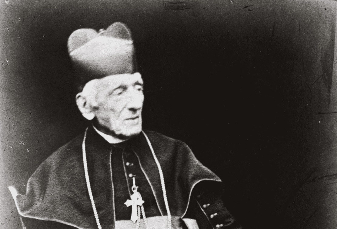 Reflecting on Newman’s Life at the Time of His Death - Part 4. Our Loss, and Now Our Gain